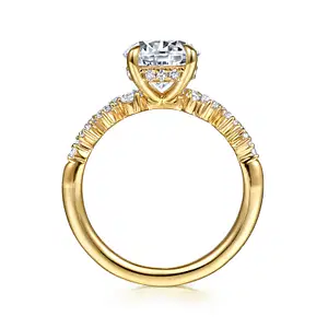 14KY .46CTW DIA CLUSTER HDN HALO SEMI - 3.5 RND CZ CTR SZ 6.5