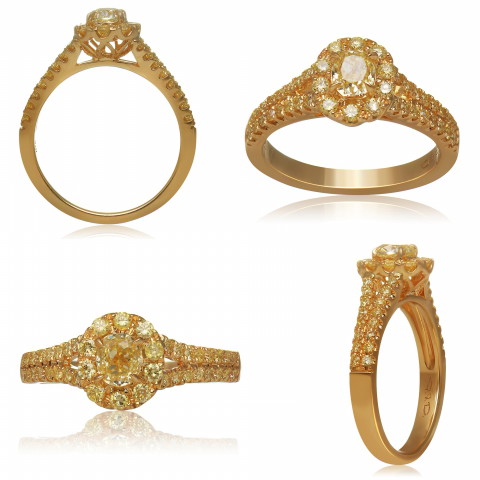 18K Yellow Gold Yellow Diamond Halo Ring (0.46ct YD, 0.55ctw WD)