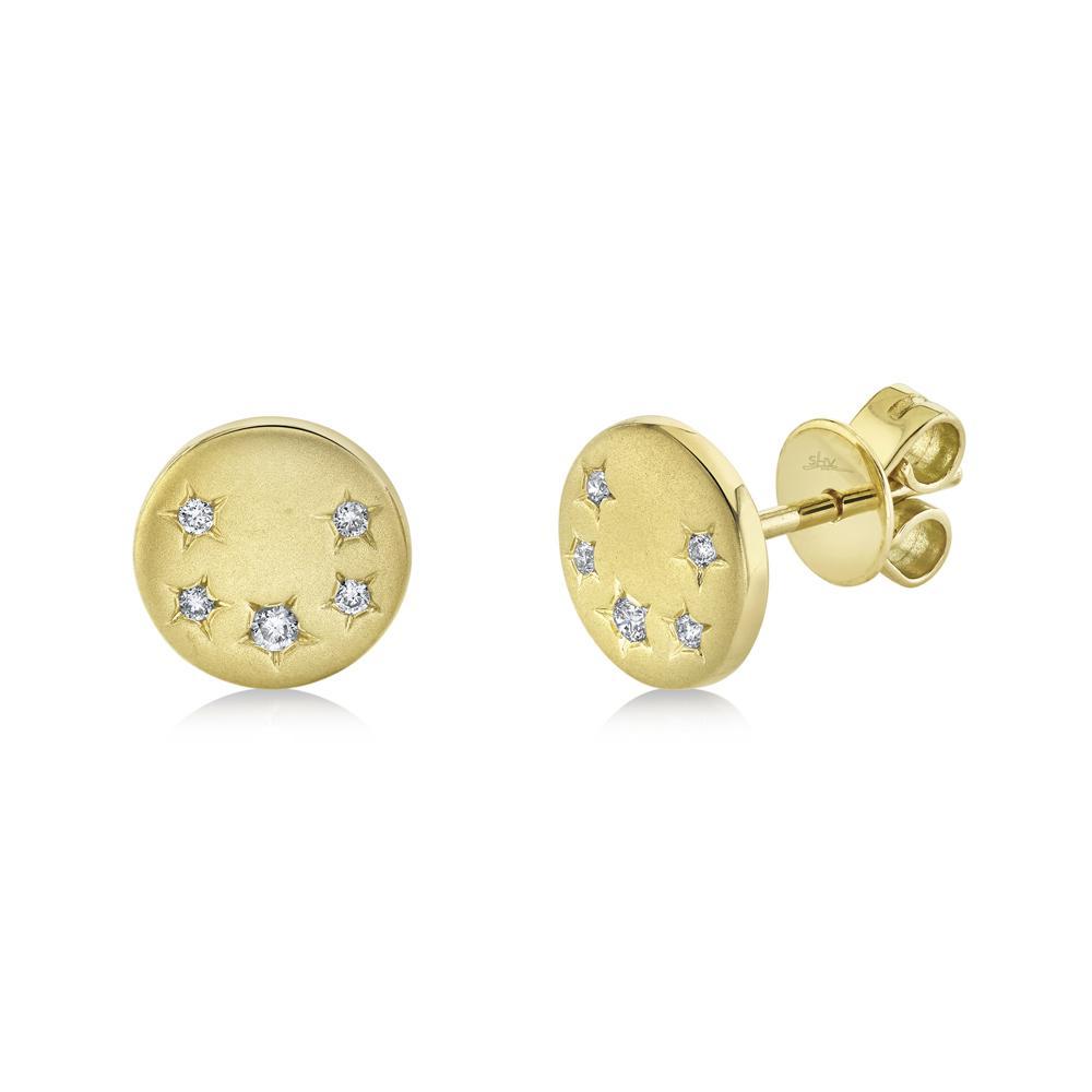 14KY .07CTW DIA STAR DISK STUD EARR
